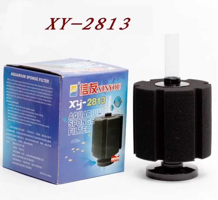 20_conew1