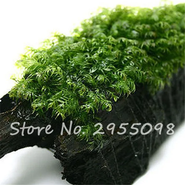 7ed872aa02732a0d9625cd3bd0062ccb