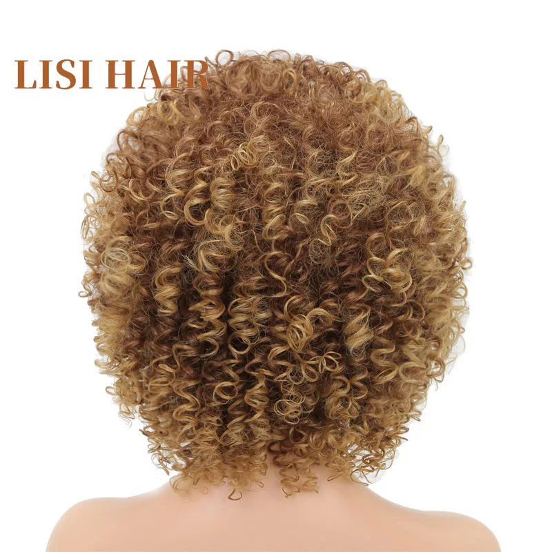 LISI HAIR Brown Mix Blonde Color 16Inches Long Afro Kinky Wigs For Black Women Synthetic Hair African Hairstyle2 (3)