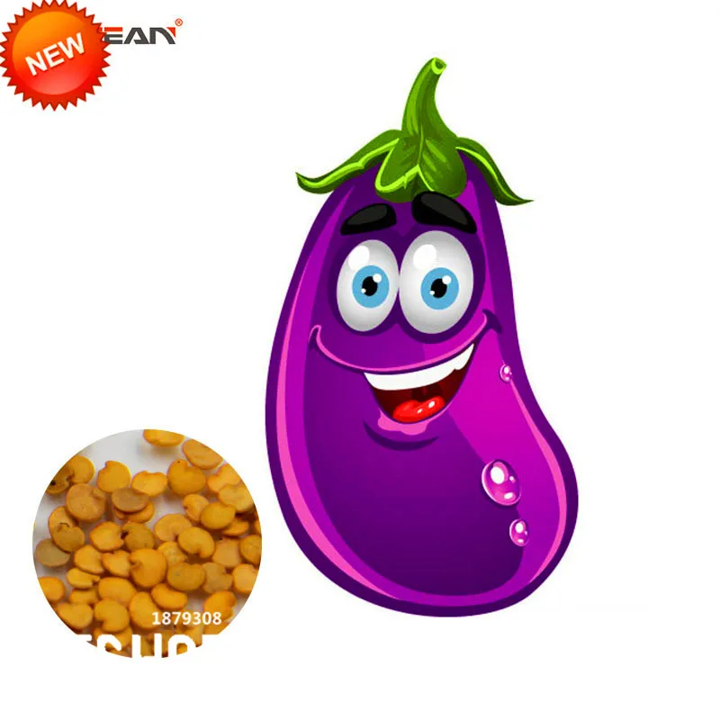 30 seeds new red eggplant SOLANUM-MELOGENA beautiful garden