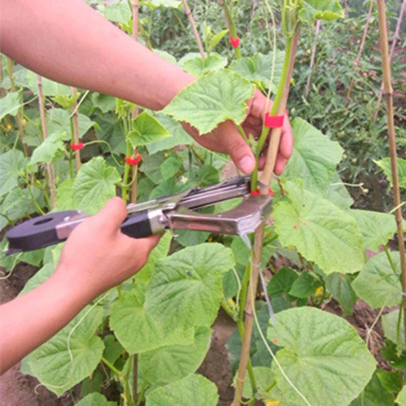 

Ties Plant Tape Straps Cucumbers Gardening Tying PVC Vines Grape Tomatoes Branches Binding Supports Accessories