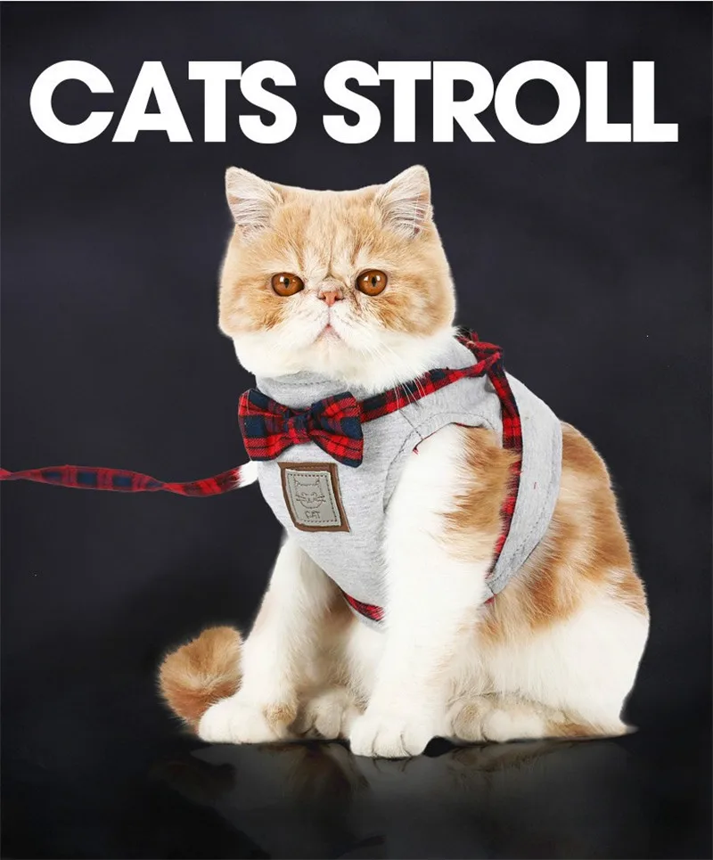 Cat Collars & Leads05