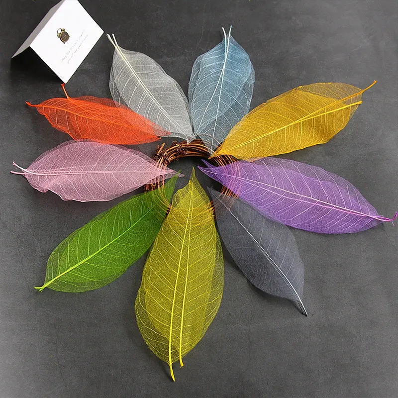 

2019 New Colorful Natural Magnolia Skeleton Leaf Leaves Bookmark Card Making Scrapbooking DIY Crafts Supplies 6A1504/6A1505
