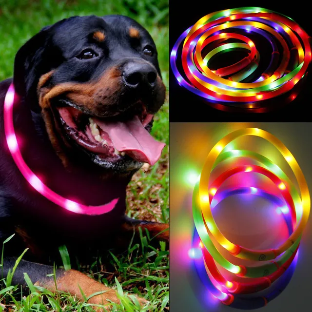 Collare di cane ha condotto la luce Impermeabile USB Ricaricabile Collare Dell'a Collare di cane ha condotto la luce Impermeabile USB Ricaricabile Collare Dell'a