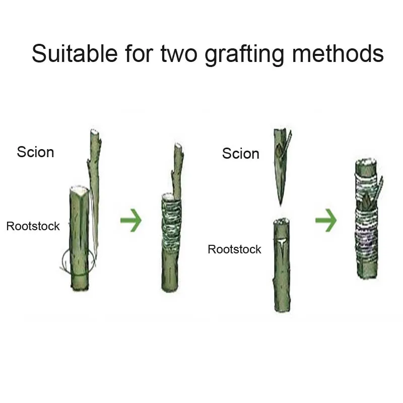 100 м x 2 см растительная лента для прививания фруктового дерева детская прививка лента в рулоне инструменты для прививки деревьев Поддержка растений пленка Садовые принадлежности