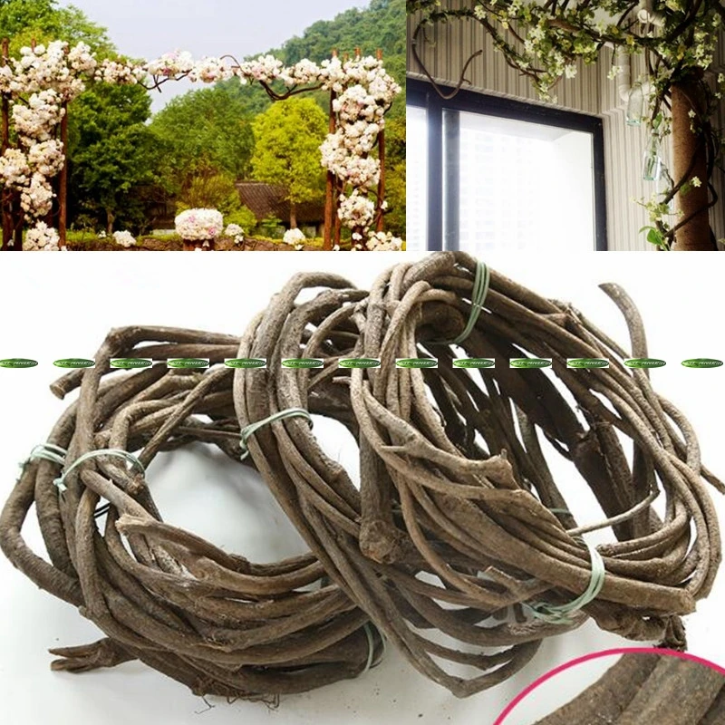 7 9 Meter Natural Dry Wedding Christmas Home Office Furniture