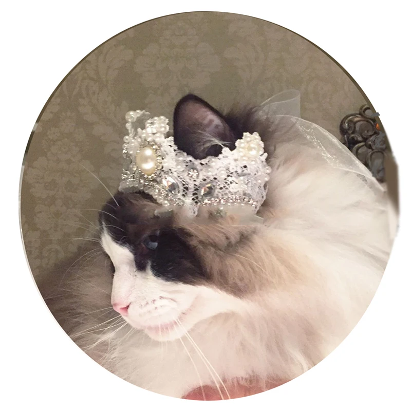 Ручной работы бусы супер Великолепная Корона кошка головной убор для собаки Шляпа кошка Одежда Щенок День рождения платье для кошек