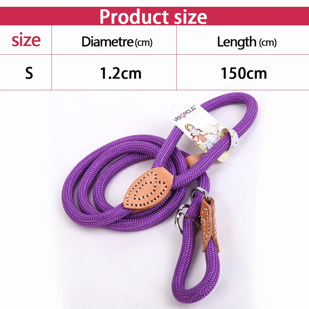 dog leash 2