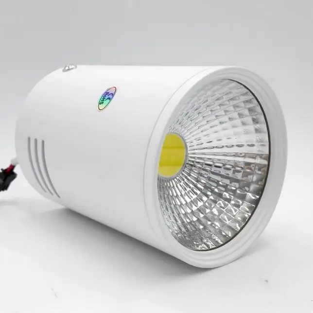 

Free Shipping 12W LED Down Light Epistar COB Chips With Silver/Black/White Shell Fashion Led Lamp