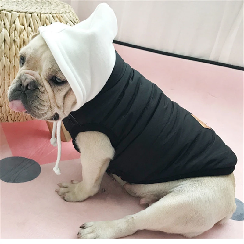 stone island dog hoodie