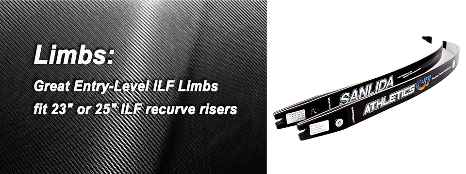 03 01limbs
