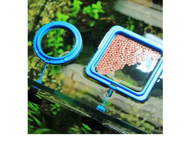 Fish Tank Feed Fixing Ring Aquarium Floating Feeding Tropical Feeder Round/Square Prevention Of Drift Sucker | Дом и сад