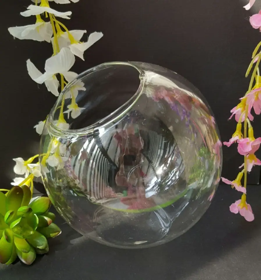 Wholesale Tabletop Mini Glass Globe Fish Tank High Transparent Vase
