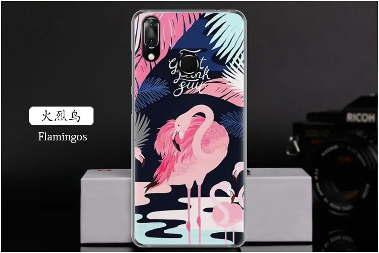  Flamingos