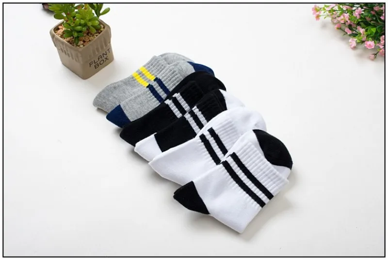 conew_1 (5)