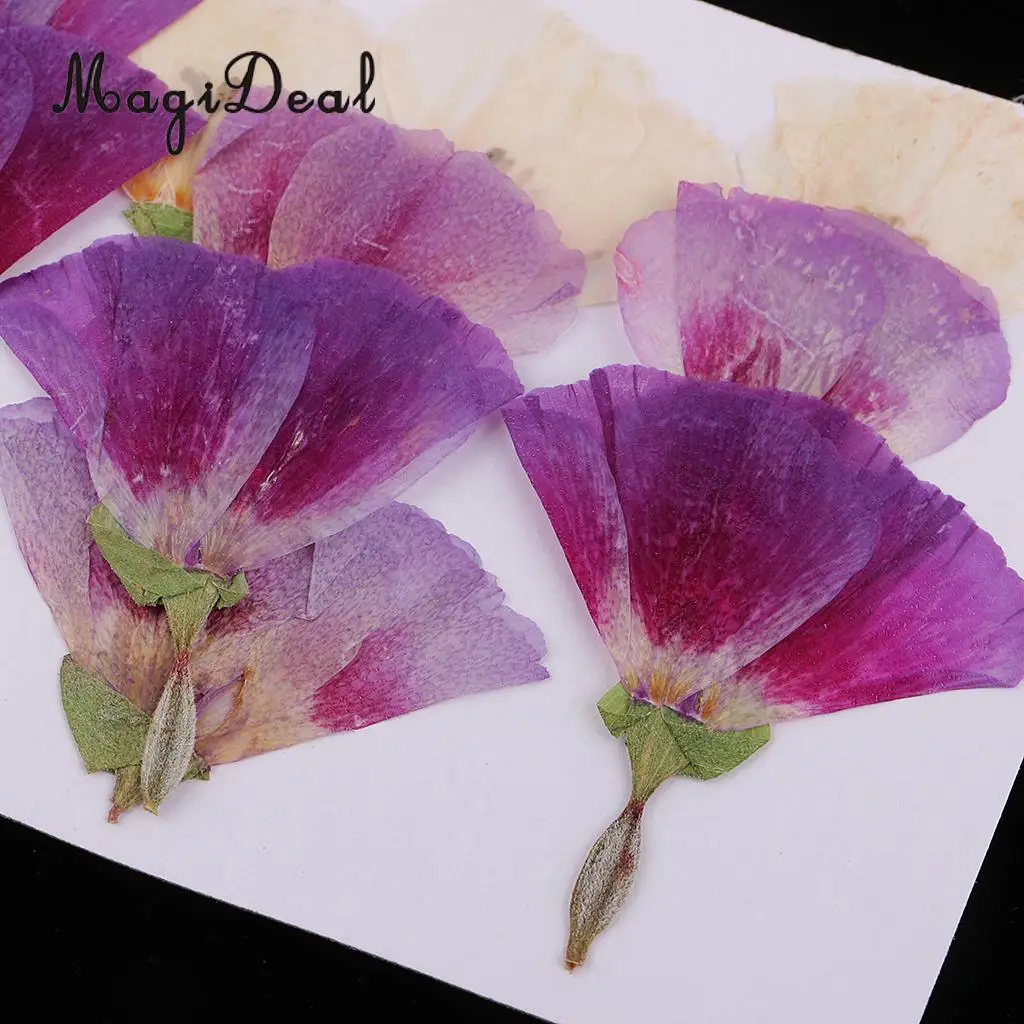 12pcs Beautiful Godetia Real Pressed Natural Dried Flowers for Art Craft Scrapbooking Card Making Resin Jewelry Making Craft DIY