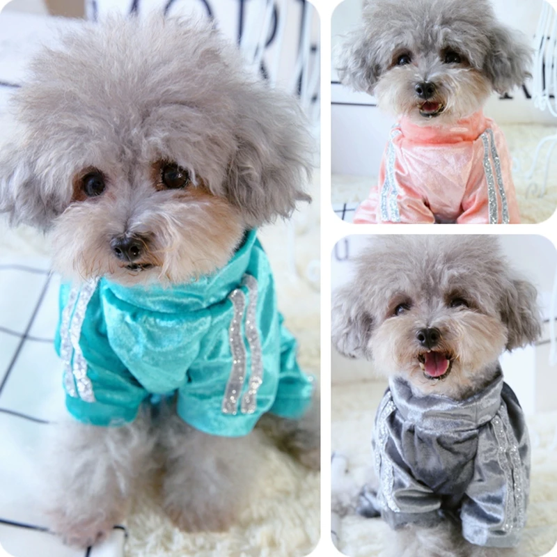 xs dog breeds