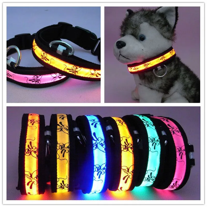 C01 Pet Dog Collar LED Nylon _ Pluto design Night Safety LED Light up