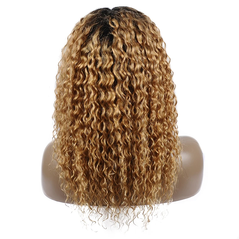 Remyblue T1B/27 Ombre Blonde 4*4 Lace Closure Human Hair Wigs Pre Plucked 180% Density Brazilian Water Wave Remy Human Hair Wigs