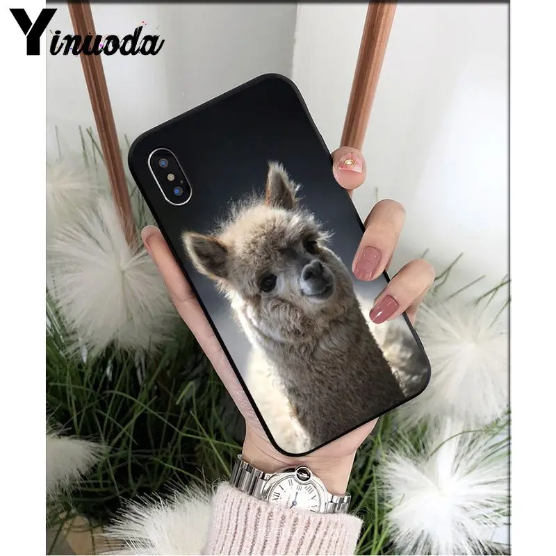 Yinuoda лама Alpacas животное умный чехол черный мягкий чехол для телефона для iPhone X XS MAX 6 6S 7 7plus 8 8Plus 5 5S XR