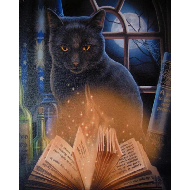 

Black Cat Read Book Diamond Embroidery Full Kit DIY Diamond Painting Cross Stitch Picture Rhinestones Mosaic Wall Decoration KBL