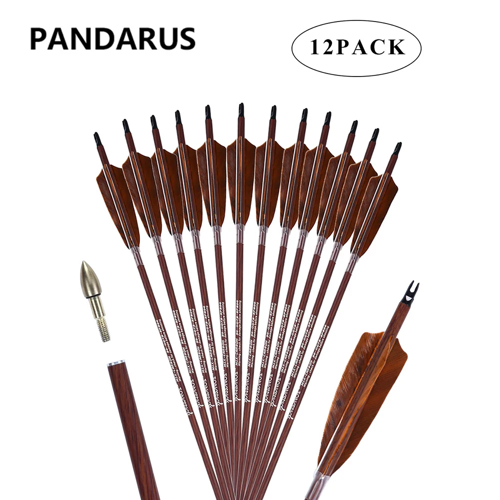 PANDARUS Archery 31Inch Carbon Hunting Arrows 4-Inch Turkey Feather Fletching with Replaceable Points Targeting Practice Arrows