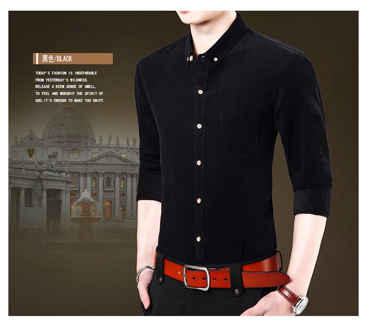 8509035101_1907348063