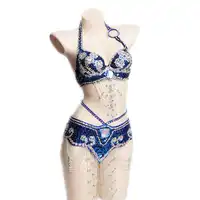 Women Stage & Dance Wear 2018 Oriental Dance Sequined Beaded Bra and Belt Bellydance Suit 2pcs Costumes for Belly Dance