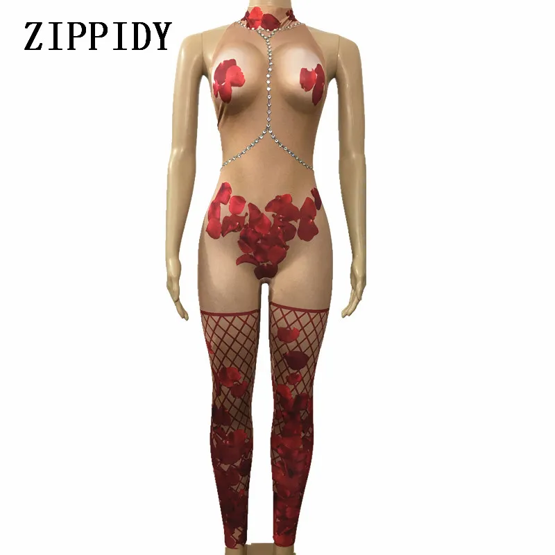 

Sexy Rose Flower Nude Jumpsuit Photo Shoot Outfit Stage Dance Petal Bodysuit Nightclub Costume Female Singer Performance Wear