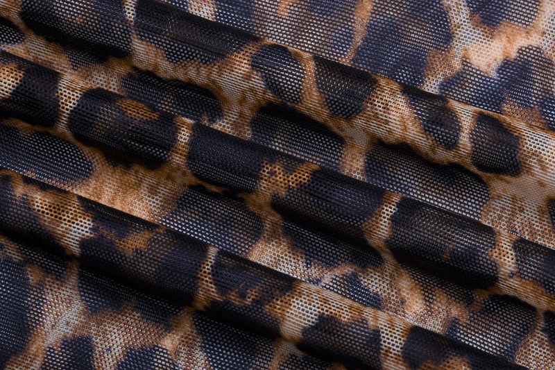 _DSC2421
