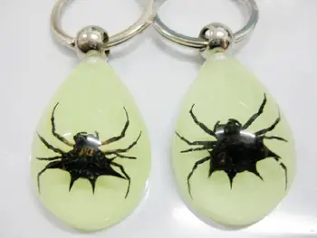 

FREE SHIPPING yqtdmy 12 pcs chic embedded spider insect glow in dark drop Keepsake keychain