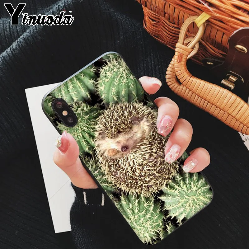 Hedgehog Cute in Teacup Animal Art