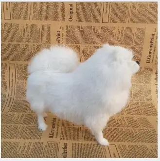  WYZHY simulation Pomeranian birthday gift Christmas gift interior decoration teaching home model or - 32971947354