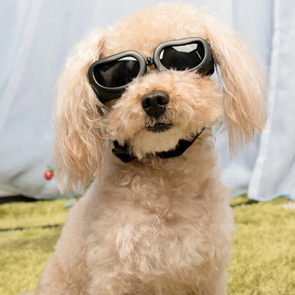 

Pet UV Protection Sunglasses Cat Dog Anti-Fog Anti-wind Glasses Puppy Eye Protector Safety Goggles