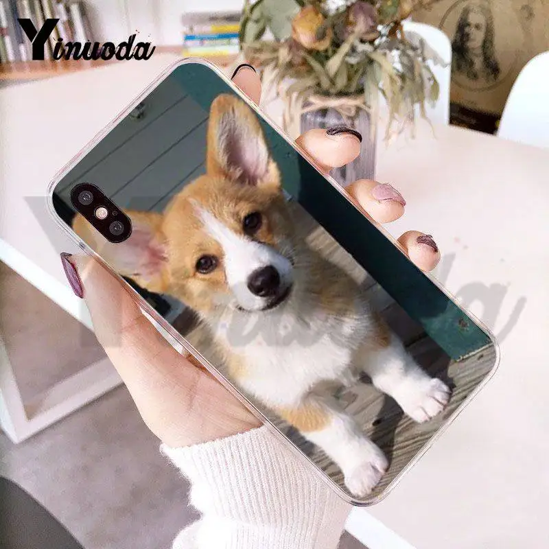 Yinuoda вельш корги щенков Прозрачный чехол для мобильного телефона iPhone 8 7 6 6S Plus X 5 5S