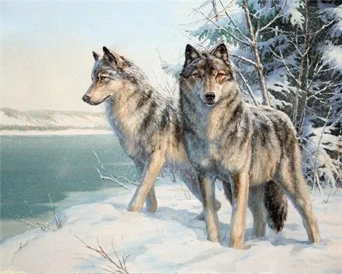3