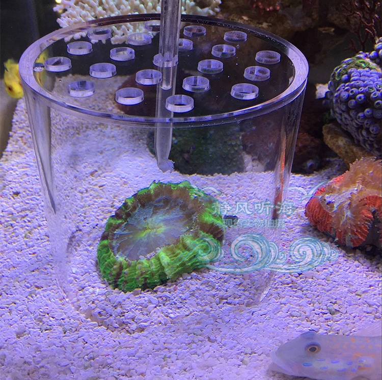 Аквариум LPS коралловый кормушка крышка защита BrainCoral Trachyphyllia еда Предотвращение