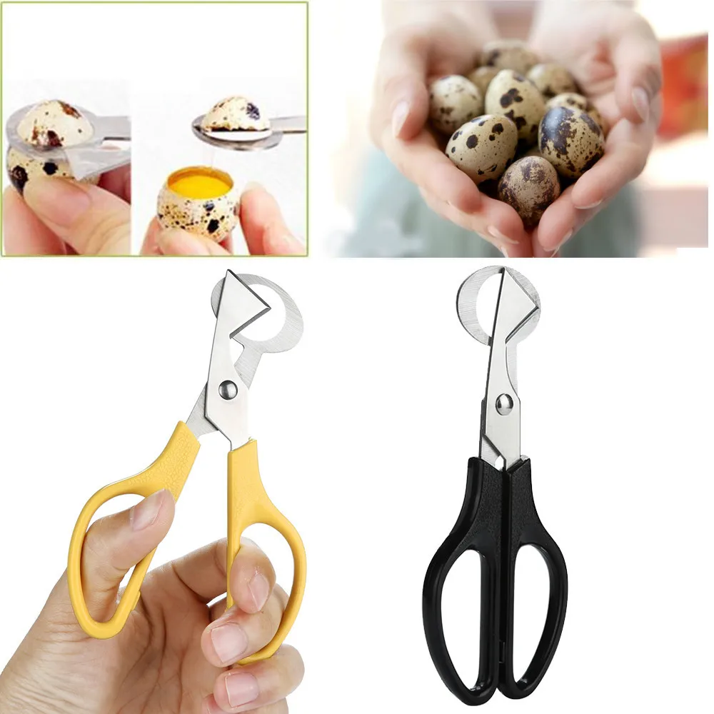 Pigeon Quail Egg Scissors Stainless Steel Blade Bird Eggs Shell Cutter