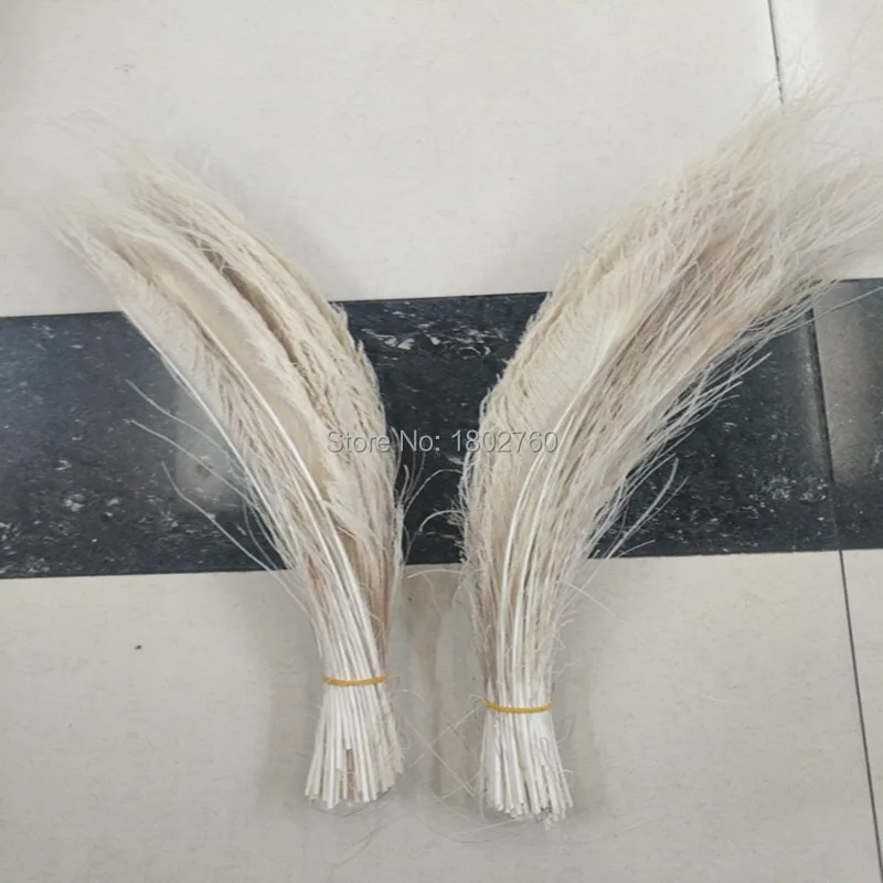 IMG_20180531_140420_