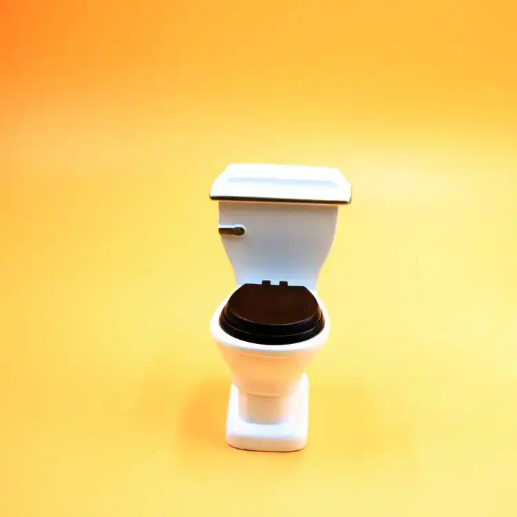 mini toilet toy