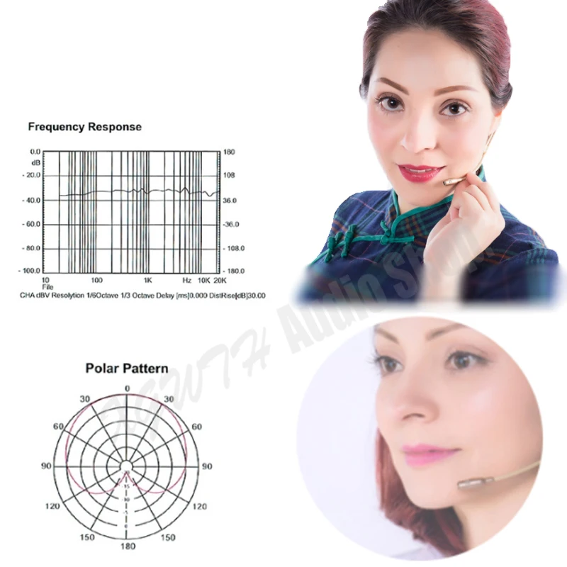 Professional Ear Hanging Headset Headworn