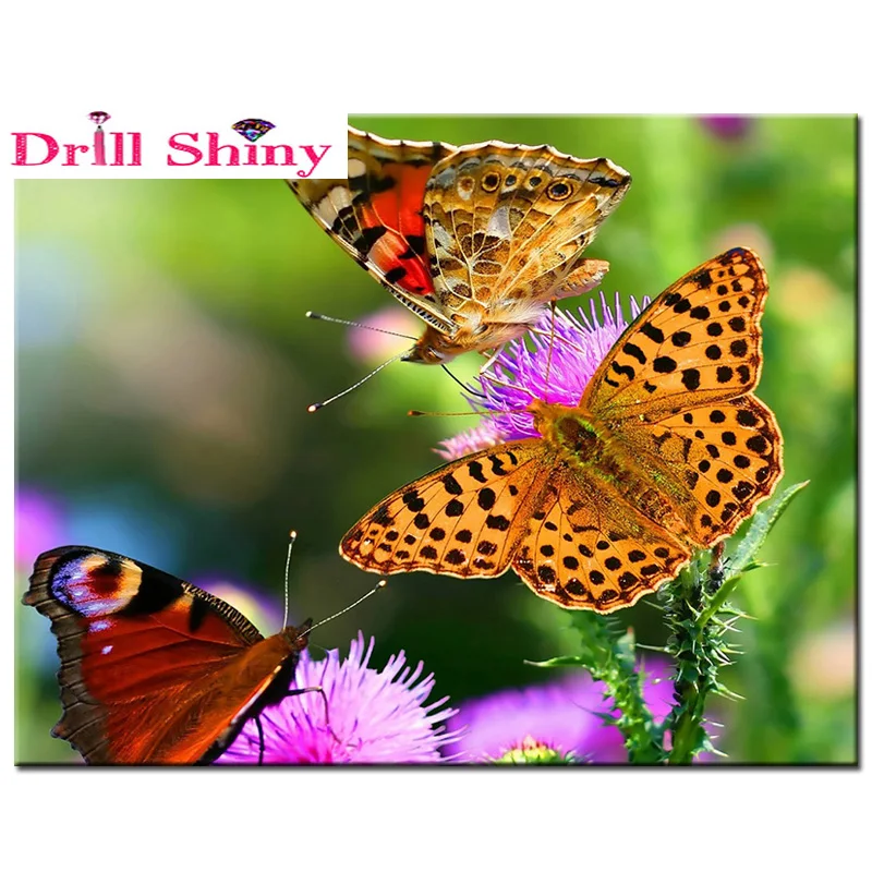 

diamond embroidery Three butterflies 5D diamond painting cross stitch diamond mosaic Rhinestone crafts
