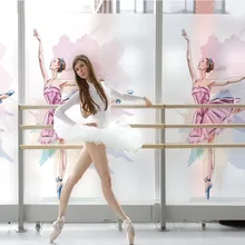 Фантазия балетная танцевальная комната стеклянные наклейки спальня ванная комната Антибликовая пленка «замороженное стекло» прозрачная непрозрачная
