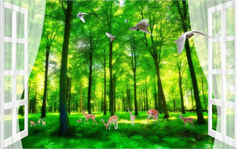 High Quality Renovação da Casa