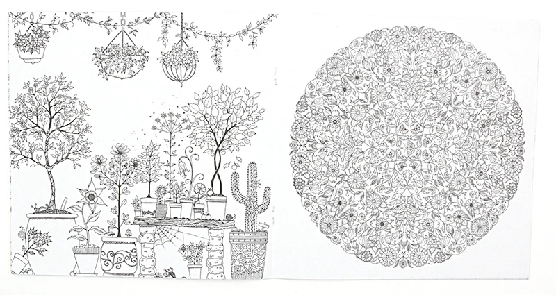 1 PCS New 24 Pages Relieve Stress For Children Adult Painting Drawing Book Secret Garden English Edition Kill Time Coloring Book