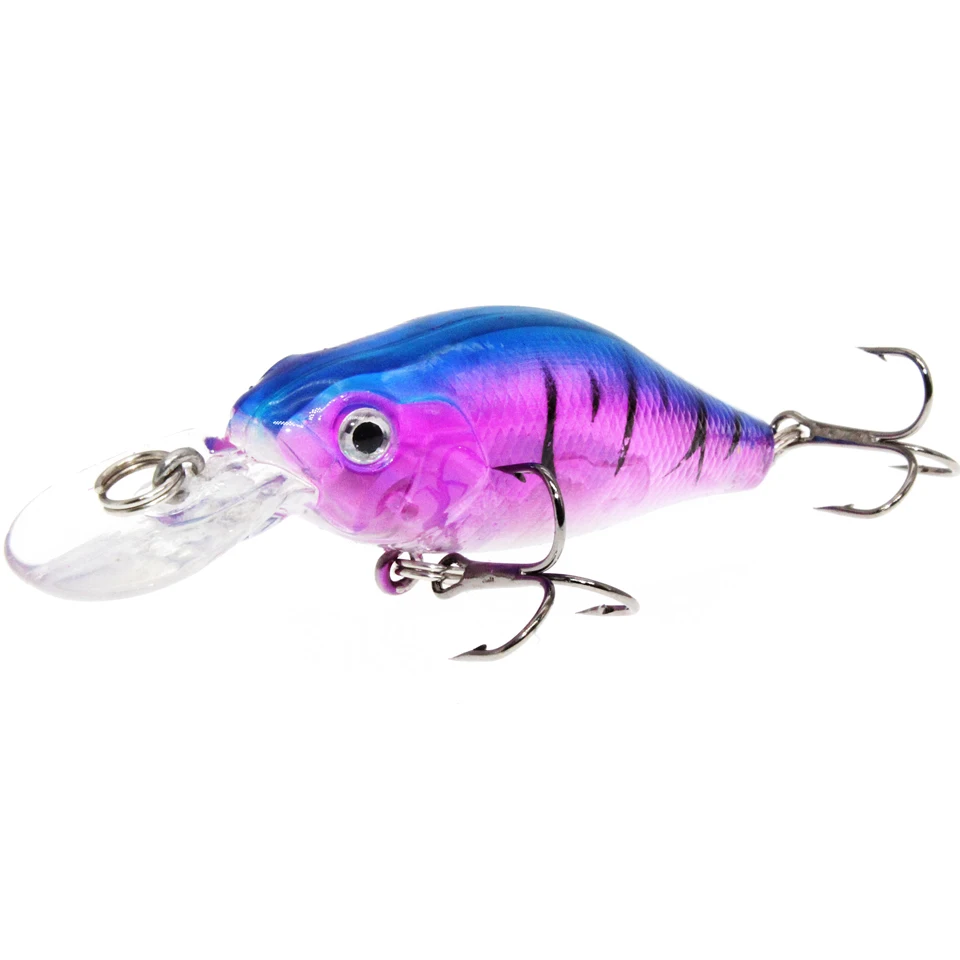 Leurre Crankbait Résine 6,5 Pouces – Couleur Truite – Personnalisé – Mer Et Rivière