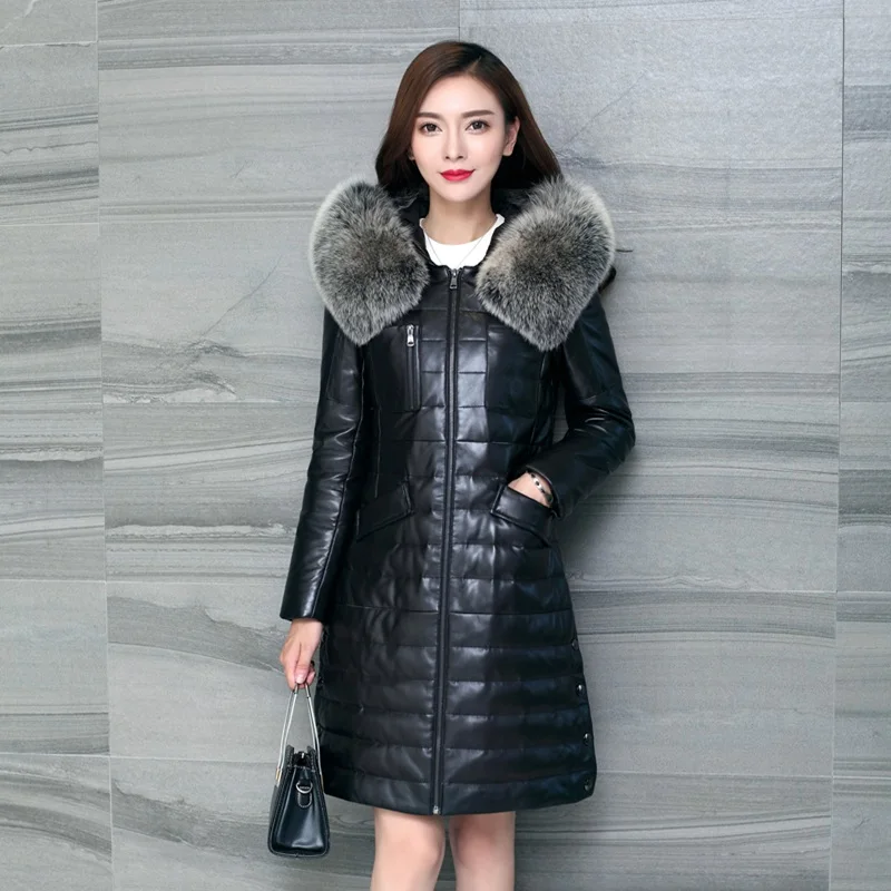 LF4050 (2)