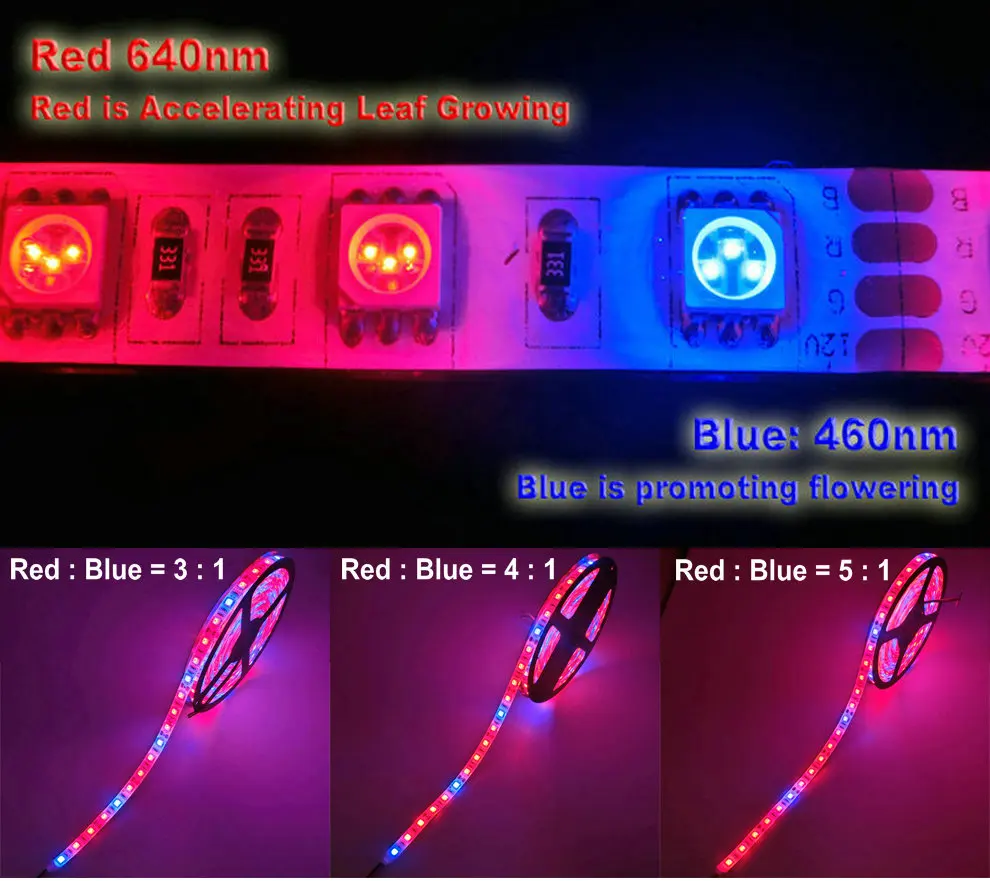 LED Plant Grow Lights  15