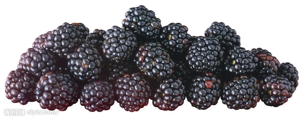

Big Promotion!200pcs Heirloom Sweet Blackberry bonsai delicious Black Berry Giant Blackberries Triple Crown Blackberry Black Mul