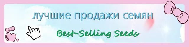 200 szt rzadkie żywe kamienie mix Lithops Bonsai kwitnący kwiat soczysty Cactus Organic Garden luzem Bonsai dla domu ogród tanie i dobre opinie Bardzo proste Wykluczone Strzelec Konserwy roślin Wieloletnich Courtyard Subtropikalnych Soczyste rośliny Rośliny ogrodowe 200 szt rzadkie żywe kamienie mix Lithops Bonsai kwitnący kwiat soczysty Cactus Organic Garden luzem Bonsai dla domu ogród tanie i dobre opinie Bardzo proste Wykluczone Strzelec Konserwy roślin Wieloletnich Courtyard Subtropikalnych Soczyste rośliny Rośliny ogrodowe